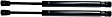 2003-2008 BMW Z4 - Driver and Passenger Side Trunk Lid Lift Support, Convertible