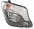 Driver and Passenger Side Halogen Headlight, With bulb(s), OE Replacement