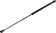 Driver and Passenger Side Hood Lift Support, Sedan