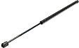 Driver and Passenger Side Hood Lift Support, Coupe/Sedan