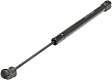 Driver and Passenger Side Hood Lift Support, Sedan/Wagon