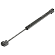 Driver and Passenger Side Hood, Trunk Lid Lift Support, Sedan, Set of 4