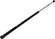 Driver and Passenger Side Hood Lift Support, Sedan