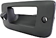 Tailgate Handle and Bezel, Textured Black, With Camera Hole, For Models With Locking Tailgate