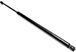 Driver and Passenger Side Liftgate Lift Support, Sport Utility