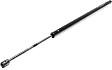 Driver and Passenger Side Liftgate Lift Support, Sport Utility