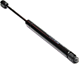 Driver and Passenger Side Trunk Lid Lift Support, Coupe/Sedan