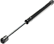 Driver and Passenger Side Trunk Lid Lift Support, Coupe/Sedan
