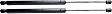 Driver and Passenger Side Liftgate Lift Supports, Sport Utility