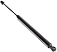 Driver and Passenger Side Liftgate Lift Supports, Sport Utility