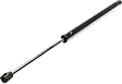 Driver and Passenger Side Liftgate Lift Supports, Sport Utility