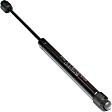 Driver and Passenger Side Trunk Lid Lift Supports, Sedan, Except Rear Spoiler