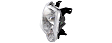 2008 Ford Explorer Sport Trac - Driver and Passenger Side Halogen Headlight, With bulb(s), OE Replacement, CAPA Certified