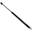 2001 Ford Expedition - Driver and Passenger Side Lift Support Hood; Liftgate glass, For Hood, Sport Utility