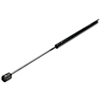 2001 Ford Expedition - Driver and Passenger Side Lift Support Hood; Liftgate glass, For Hood, Sport Utility
