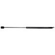 2001 Ford Expedition - Driver and Passenger Side Lift Support Hood; Liftgate glass, For Hood, Sport Utility