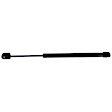 2001 Ford Expedition - Driver and Passenger Side Lift Support Hood; Liftgate glass, For Hood, Sport Utility