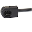 2001 Ford Expedition - Driver and Passenger Side Lift Support Hood; Liftgate glass, For Hood, Sport Utility