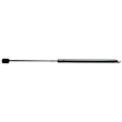 2001 Ford Expedition - Driver and Passenger Side Lift Support Hood; Liftgate glass, For Hood, Sport Utility