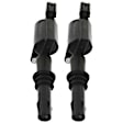 Ignition Coils, Set of 2, 8 Cyl., 4.6L Engine