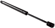 Driver and Passenger Side Trunk Lid Lift Support, Sport Utility, 4WD