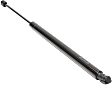 Driver and Passenger Side Trunk Lid Lift Support, Sport Utility