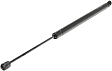 Driver and Passenger Side Trunk Lid Lift Support, Sport Utility
