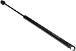 Driver and Passenger Side Liftgate Lift Support