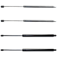 Driver or Passenger Side Liftgate Lift Support, Sport Utility, Set of 4