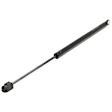 Driver or Passenger Side Liftgate Lift Support, Sport Utility, Set of 4