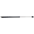 Driver or Passenger Side Liftgate Lift Support, Sport Utility, Set of 4