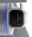 2012 Ford Focus - Driver and Passenger Side, Inner and Outer Tail Lights, With bulb(s), Halogen, Mounts on Trunk Lid