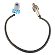 Before and After Catalytic Converter Oxygen Sensor, Set of 2, 4-wire