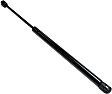 Driver and Passenger Side Hood Lift Support, Coupe