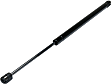 Driver and Passenger Side Hood Lift Support, Coupe