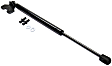 Driver and Passenger Side Hood Lift Support, Coupe/Sedan