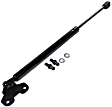Driver and Passenger Side Hood Lift Support, Coupe/Sedan