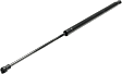 Driver and Passenger Side Hood Lift Support, Sedan