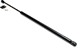 Driver and Passenger Side Trunk Lid Lift Support, Sport Utility