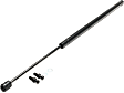 Driver and Passenger Side Trunk Lid Lift Support, Sport Utility