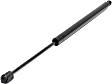 Driver and Passenger Side Trunk Lid Lift Support, Hatchback/Sedan