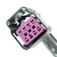 Driver and Passenger Side Halogen Tail Light, With bulb(s), OE Replacement,, CAPA Certified