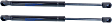 Driver and Passenger Side Hood, Lift Supports, Sport Utility