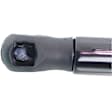 Driver and Passenger Side Hood, Lift Supports, Sport Utility