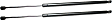 Driver and Passenger Side Trunk Lid Lift Support, Sport Utility
