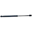 Driver and Passenger Side Hood; Trunk Lid Lift Supports, Coupe/Sedan, without Spoiler