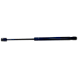 Driver and Passenger Side Hood; Trunk Lid Lift Supports, Coupe/Sedan, without Spoiler