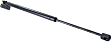 Driver and Passenger Side Liftgate Lift Support, Sport Utility