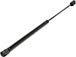 Driver and Passenger Side Hood Lift Support, Sport Utility