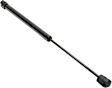 Driver and Passenger Side Hood and Liftgate Glass Lift Supports, Sport Utility